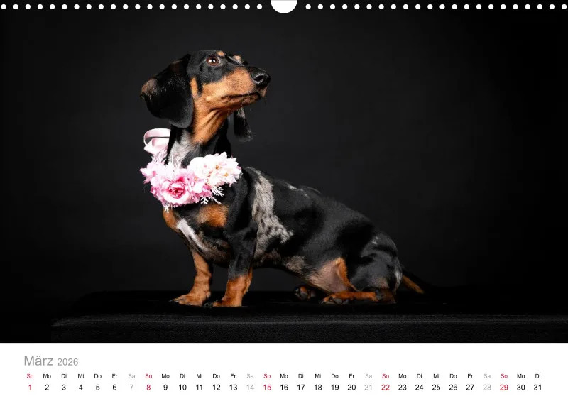 Elegance Unleashed Portraits on Black Kalender 2026 A3