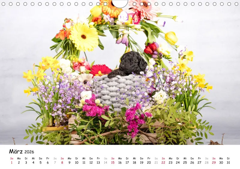 Berlin Ghost's Kalender 2026 A4