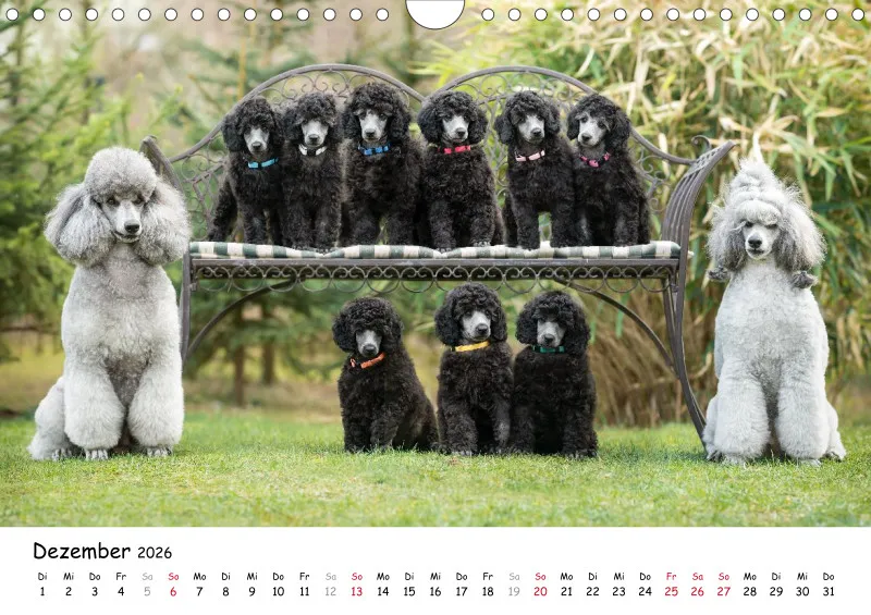 Berlin Ghost's Kalender 2026 A4
