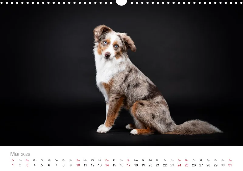 Elegance Unleashed Portraits on Black Kalender 2026 A3