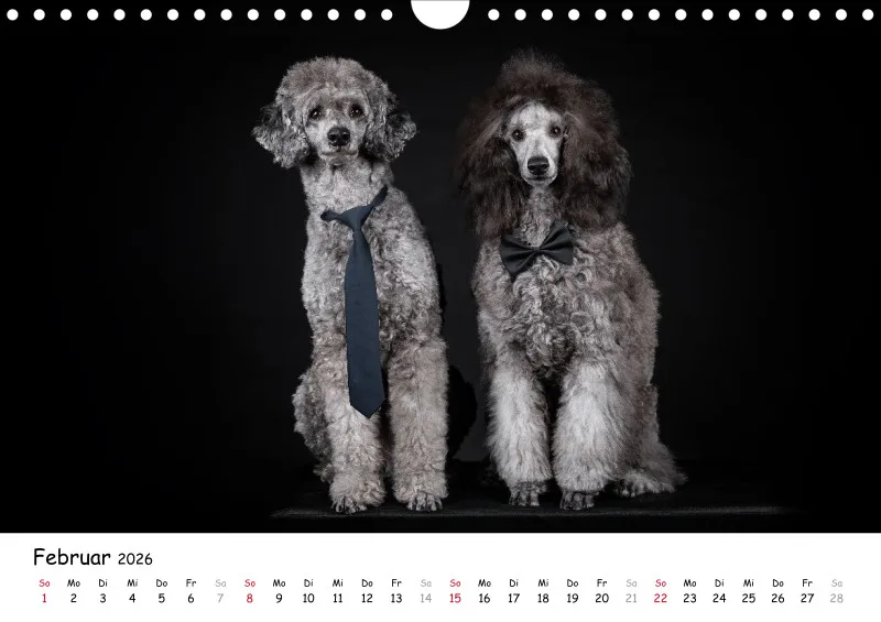 Elegance Unleashed Portraits on Black Kalender 2026 A4