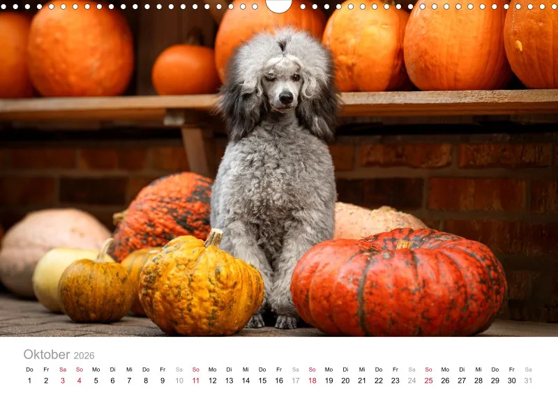 Berlin Ghost's Kalender 2026 A3