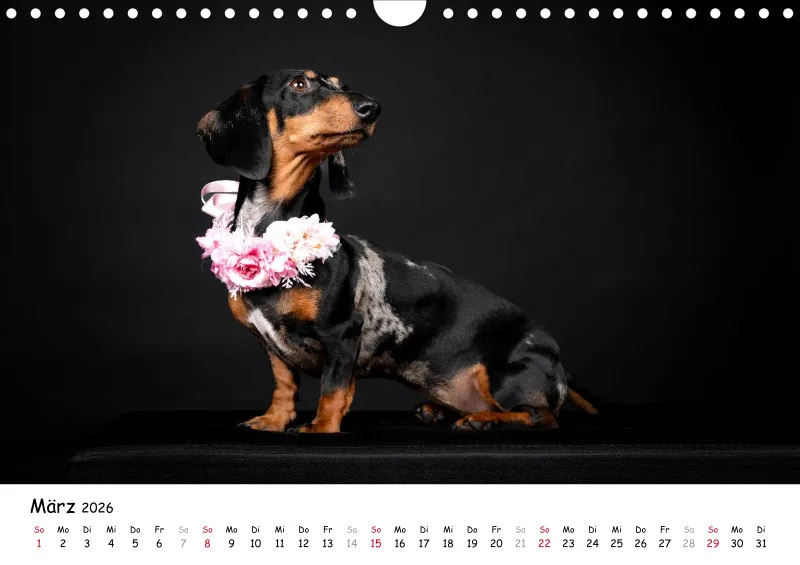 Elegance Unleashed Portraits on Black Kalender 2026 A4