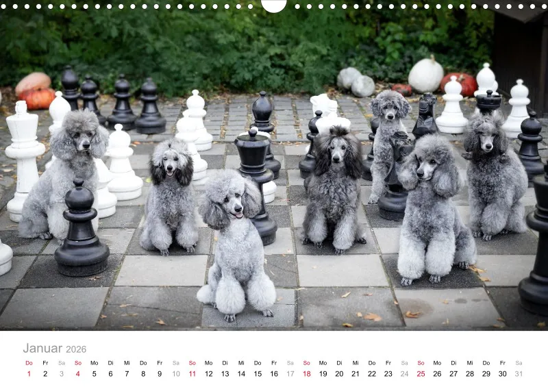Berlin Ghost's Kalender 2026 A3