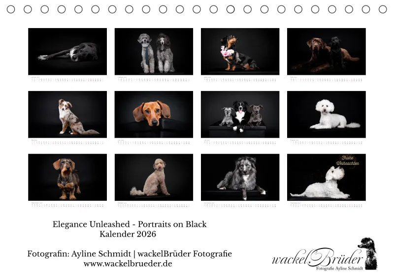 Elegance Unleashed Portraits on Black Tischkalender 2026 A5