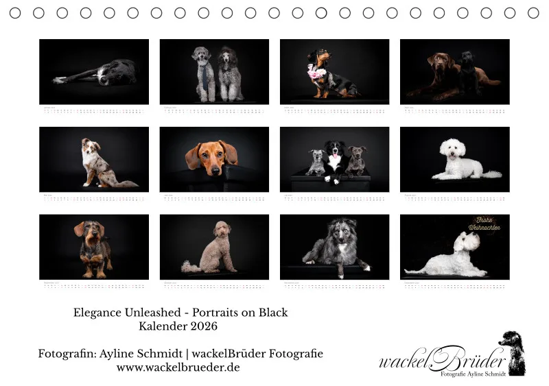Elegance Unleashed Portraits on Black Tischkalender 2026 A5