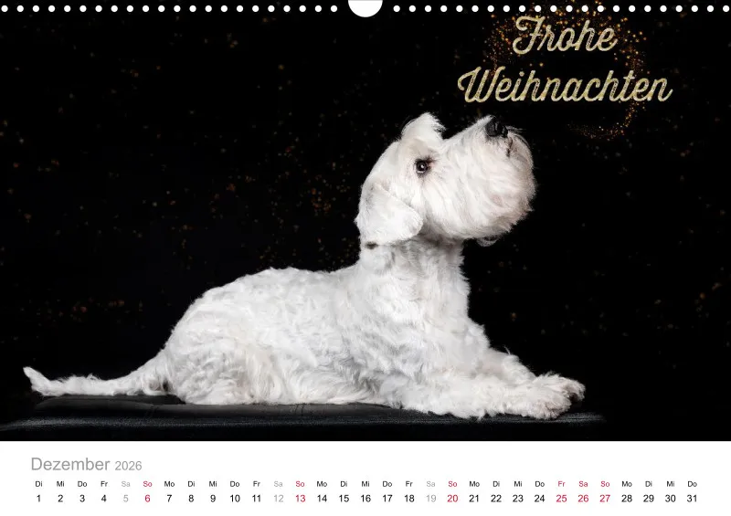 Elegance Unleashed Portraits on Black Kalender 2026 A3