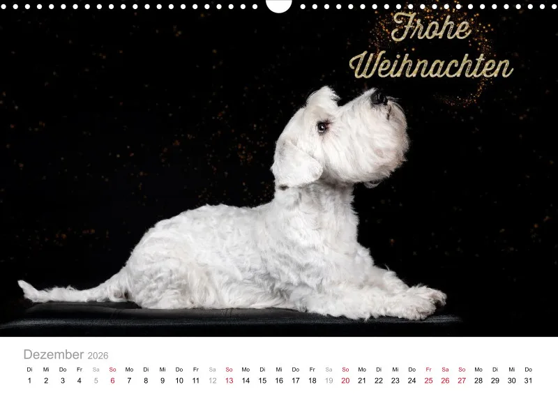 Elegance Unleashed Portraits on Black Kalender 2026 A3