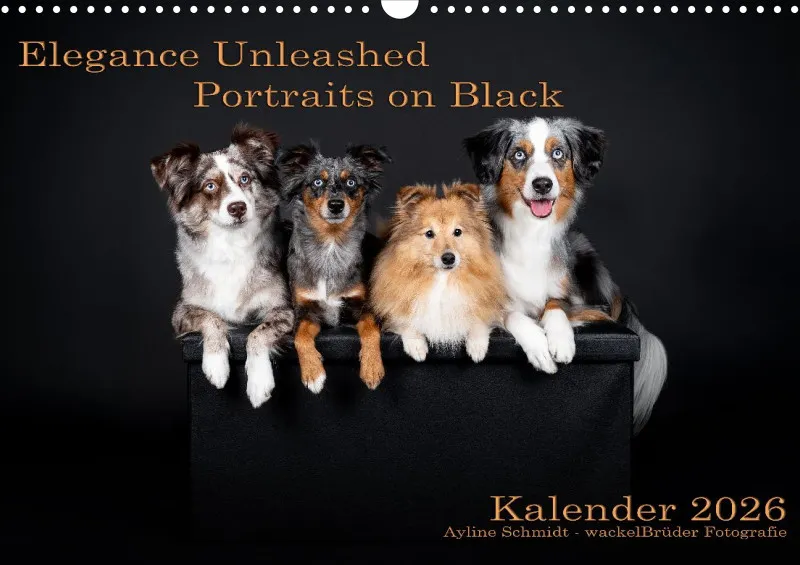 Elegance Unleashed Portraits on Black Kalender 2026 A3