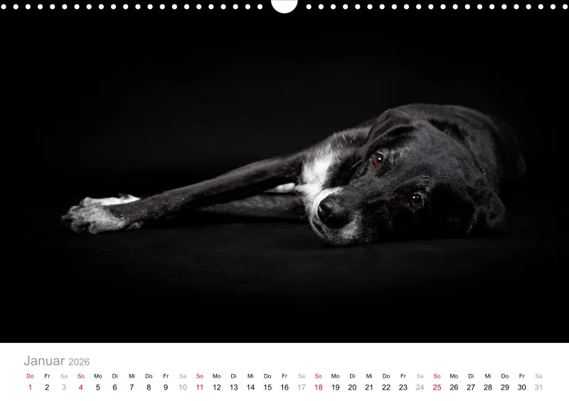 Elegance Unleashed Portraits on Black Kalender 2026 A3