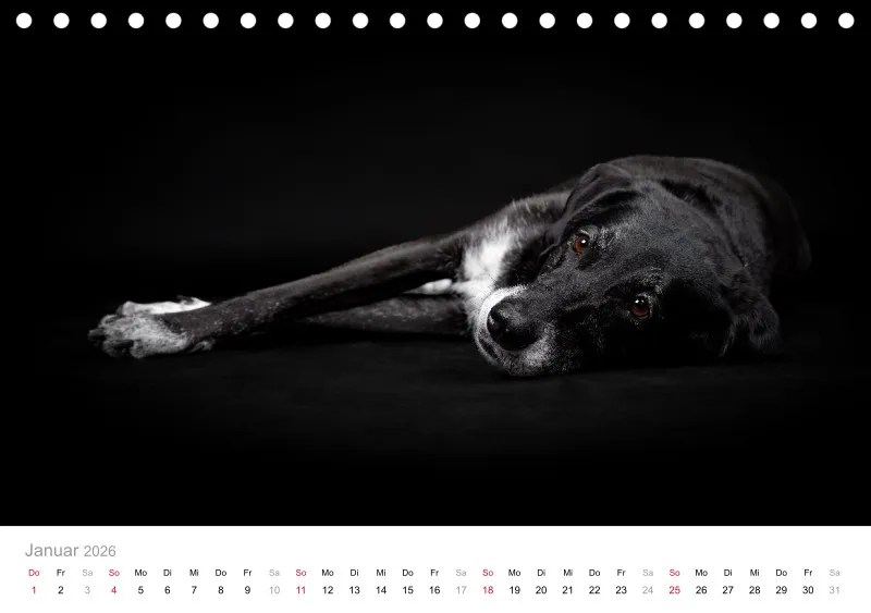 Elegance Unleashed Portraits on Black Tischkalender 2026 A5