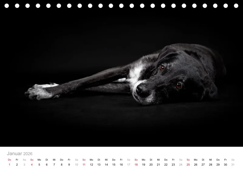 Elegance Unleashed Portraits on Black Tischkalender 2026 A5
