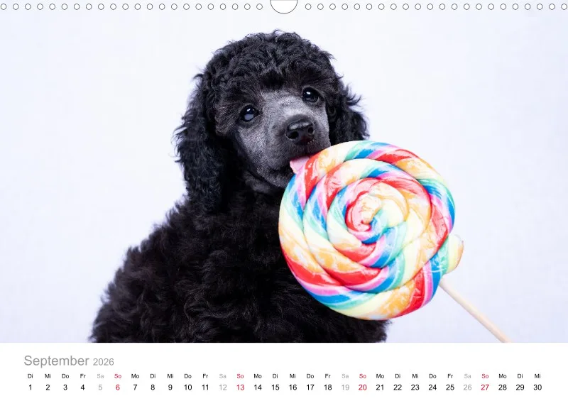 Berlin Ghost's Kalender 2026 A3