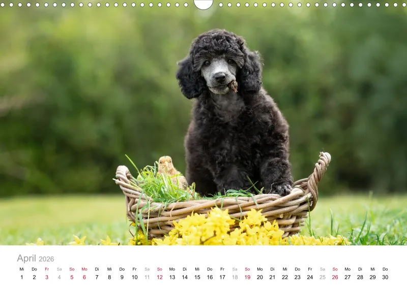 Berlin Ghost's Kalender 2026 A3