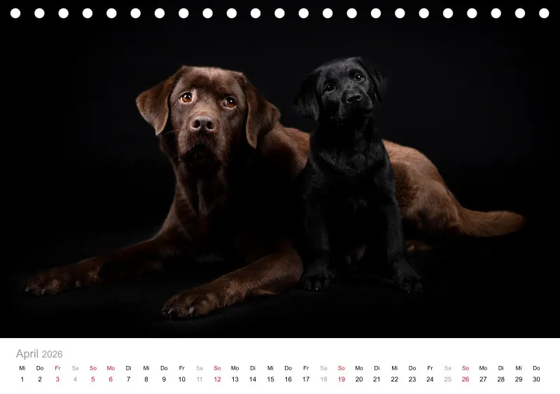 Elegance Unleashed Portraits on Black Tischkalender 2026 A5