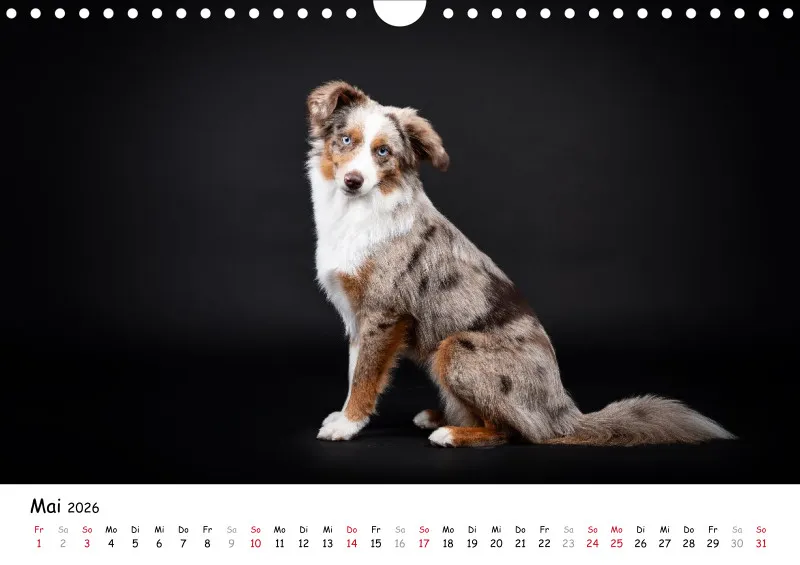 Elegance Unleashed Portraits on Black Kalender 2026 A4