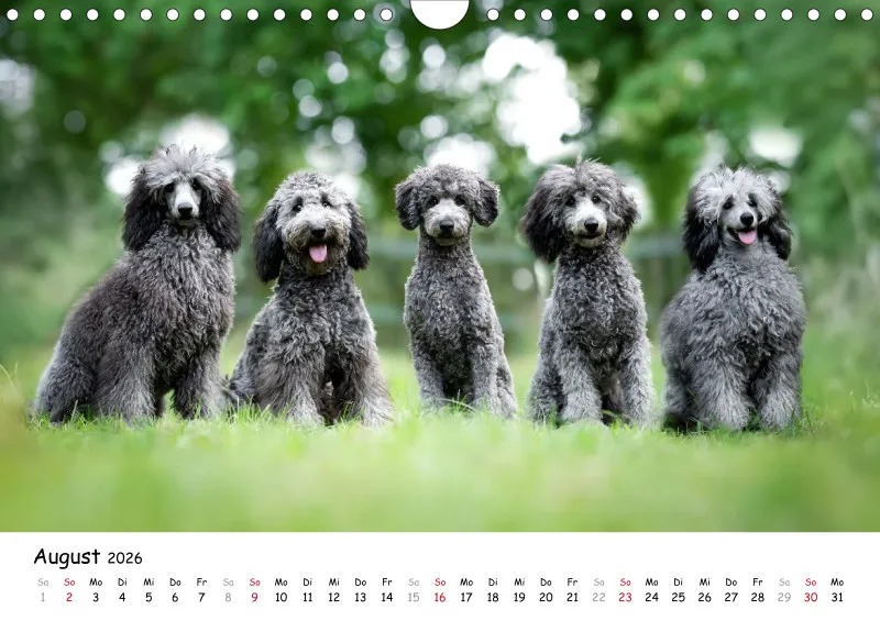 Berlin Ghost's Kalender 2026 A4
