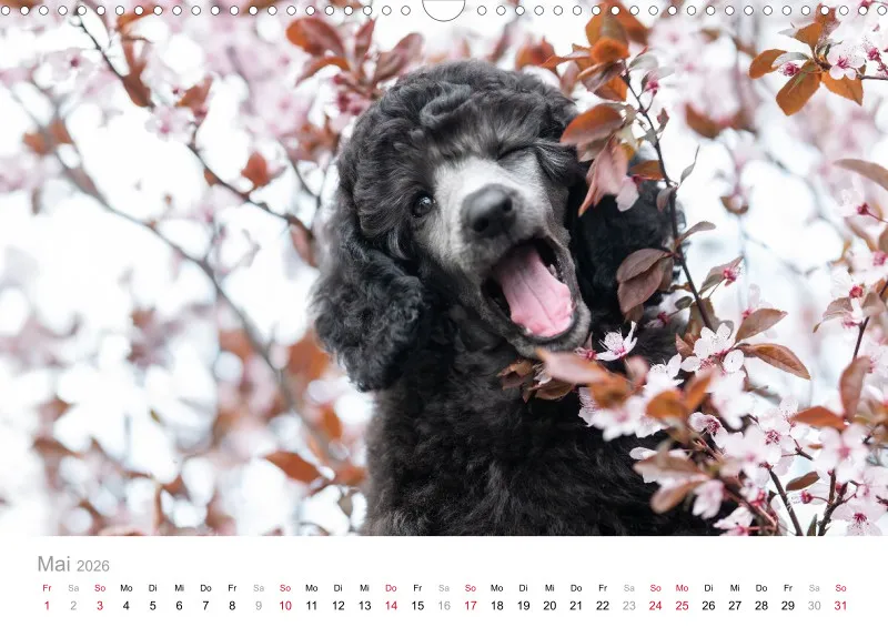Berlin Ghost's Kalender 2026 A3
