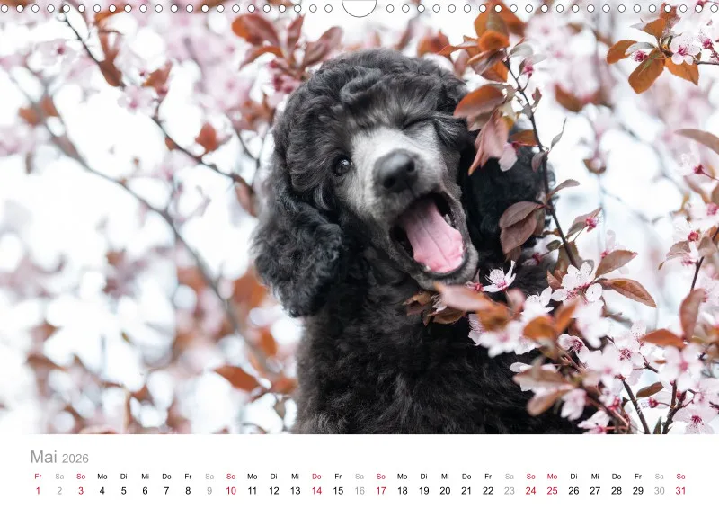 Berlin Ghost's Kalender 2026 A3