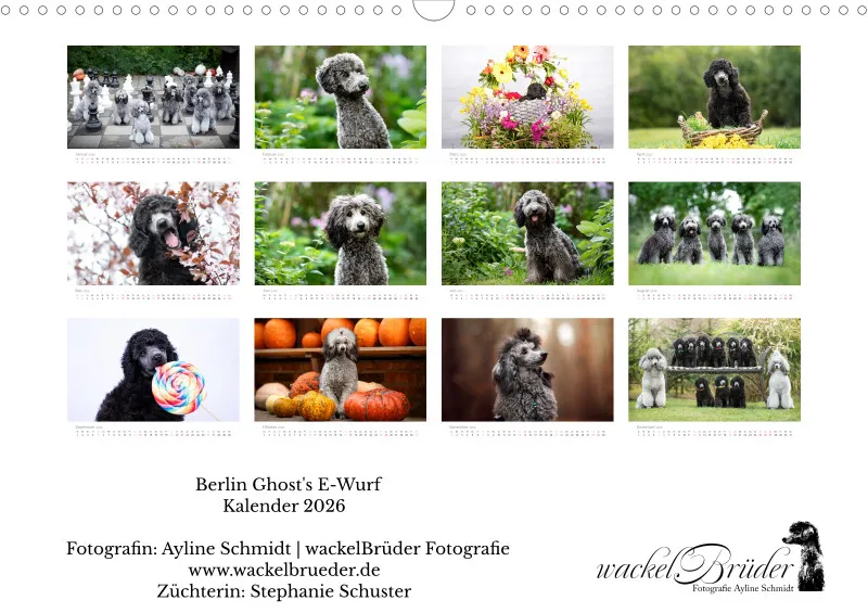Berlin Ghost's Kalender 2026 A3