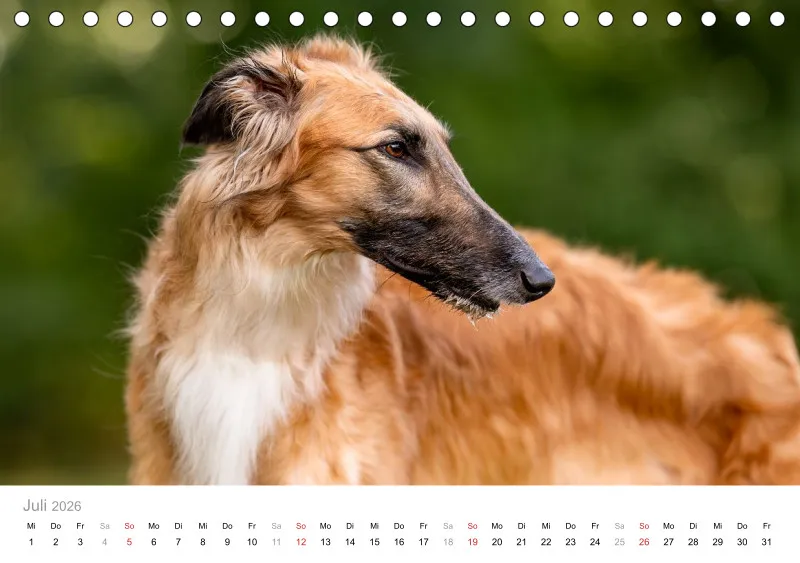 Windhunde Tischkalender 2026 A5