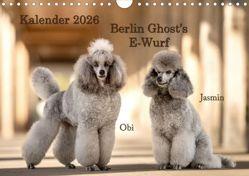 Berlin Ghost's Kalender 2026 A4