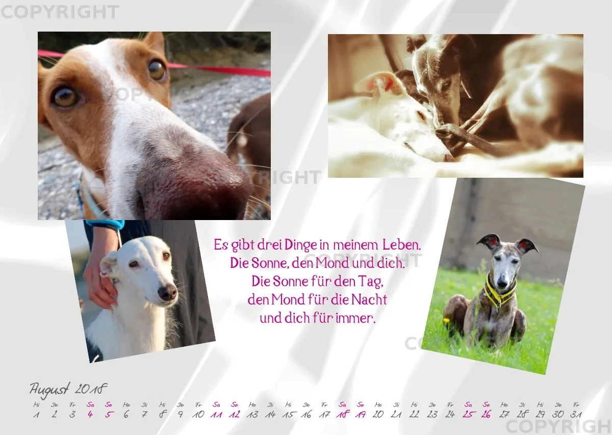 WHC Kalender 2018