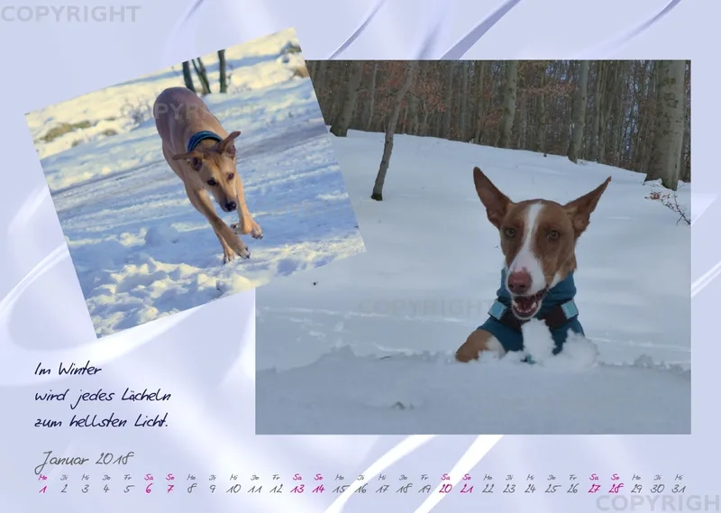 WHC Kalender 2018