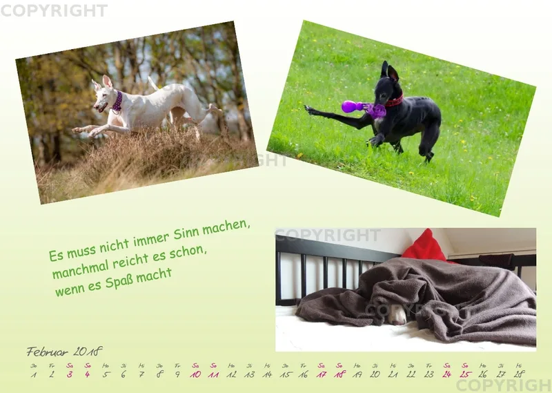 WHC Kalender 2018