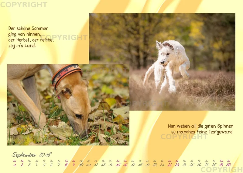 WHC Kalender 2018