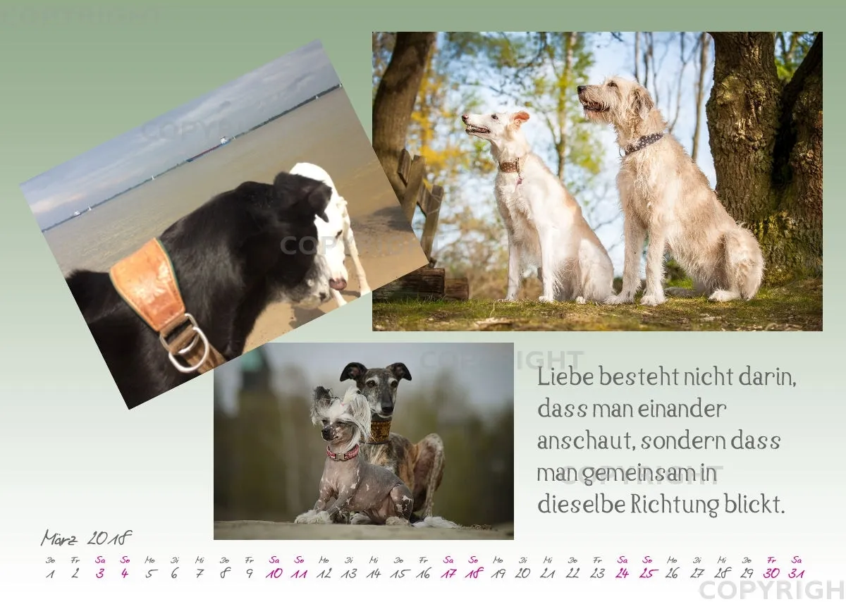 WHC Kalender 2018