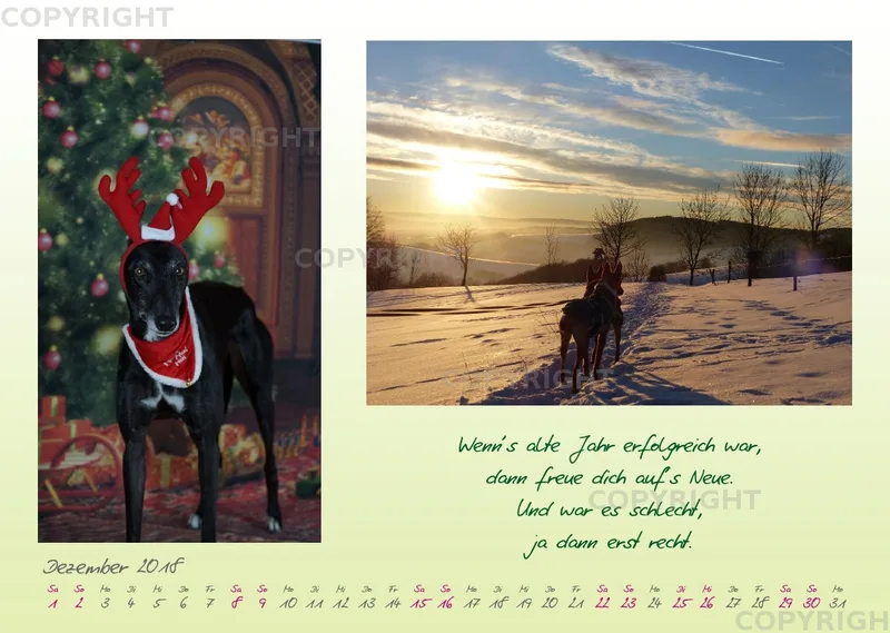 WHC Kalender 2018