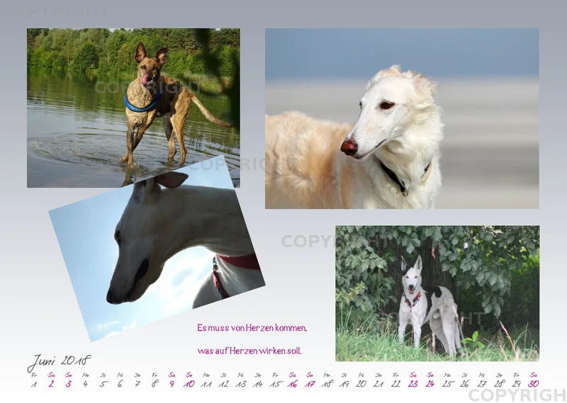 WHC Kalender 2018