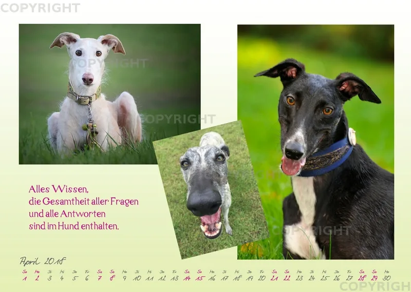 WHC Kalender 2018