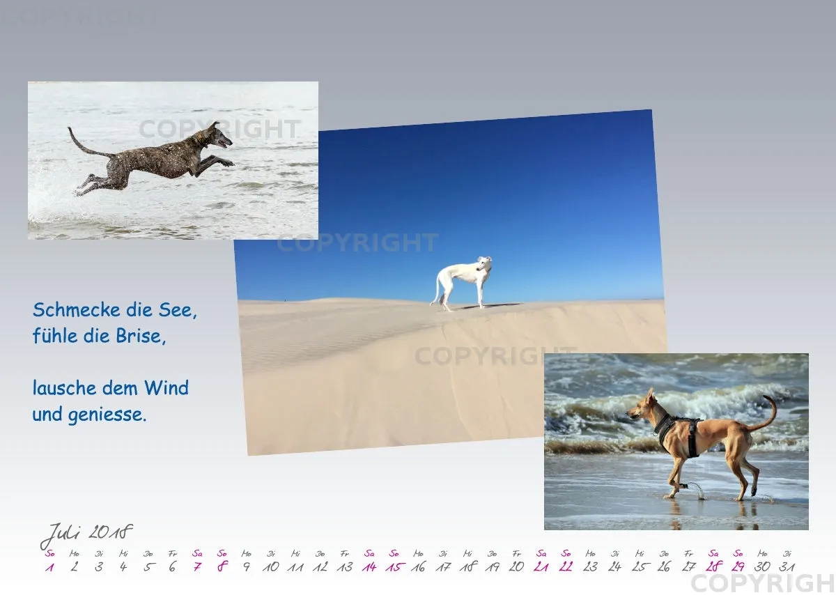 WHC Kalender 2018