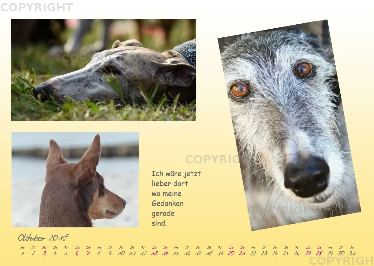 WHC Kalender 2018