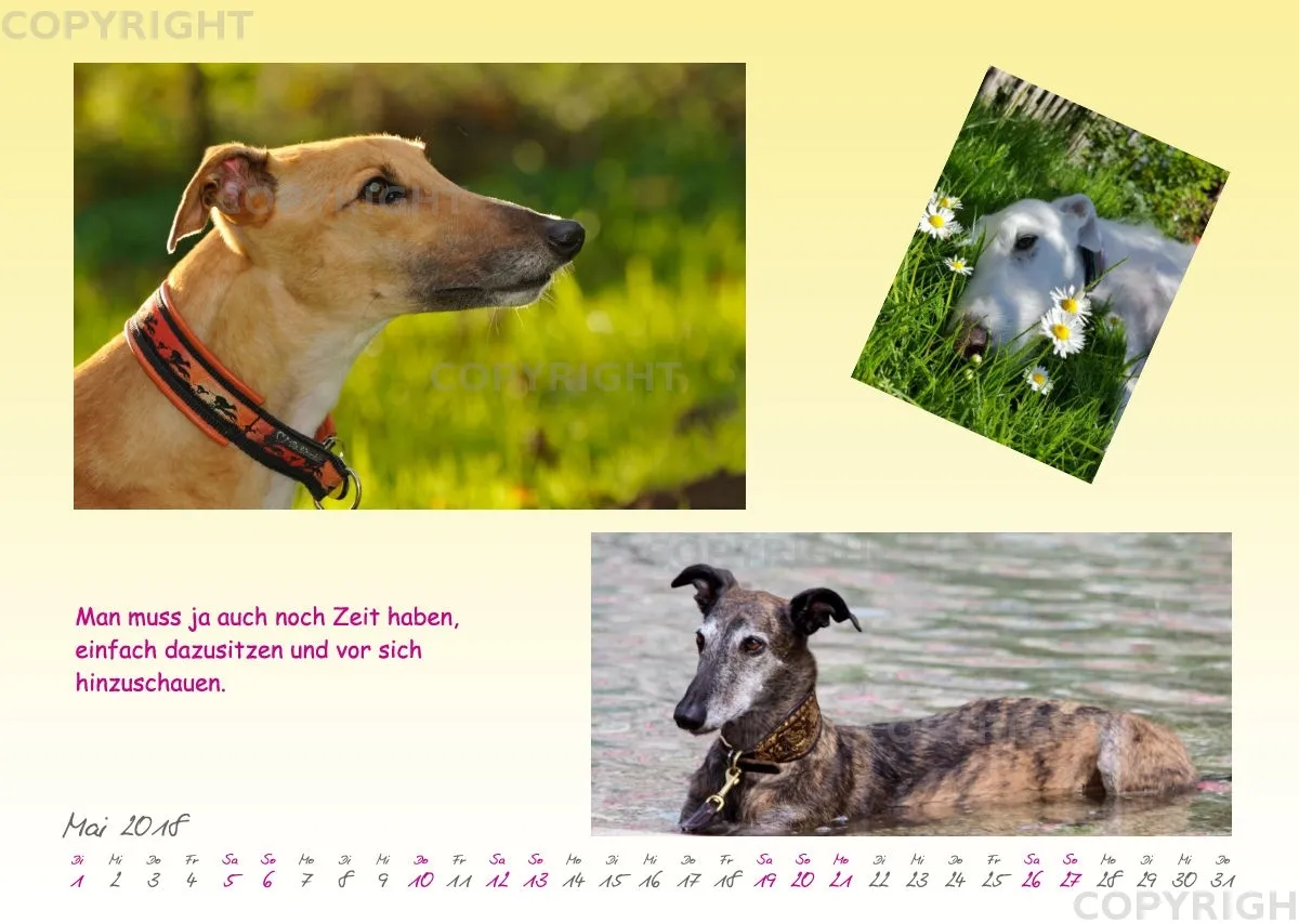 WHC Kalender 2018