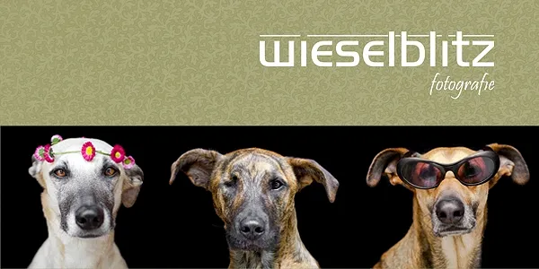 Elke Vogelsang