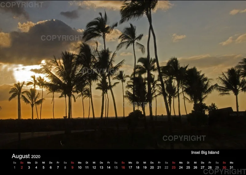 Aloha Hawaii