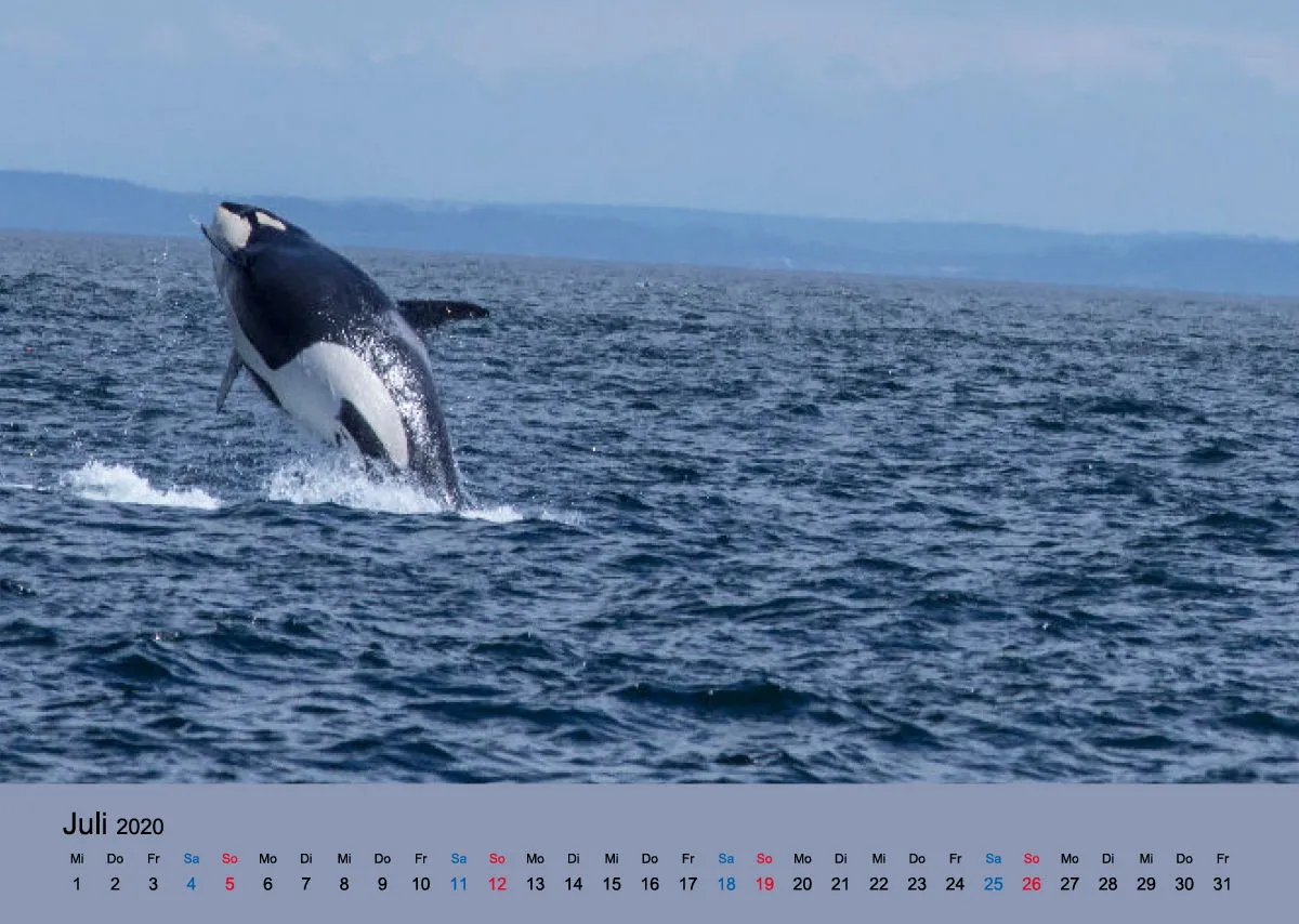 Fotokalender / Nr. 26