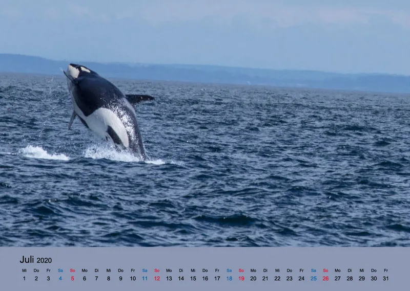 Fotokalender / Nr. 26