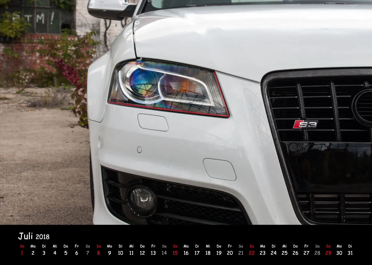 Audi S3 Der WAUZ