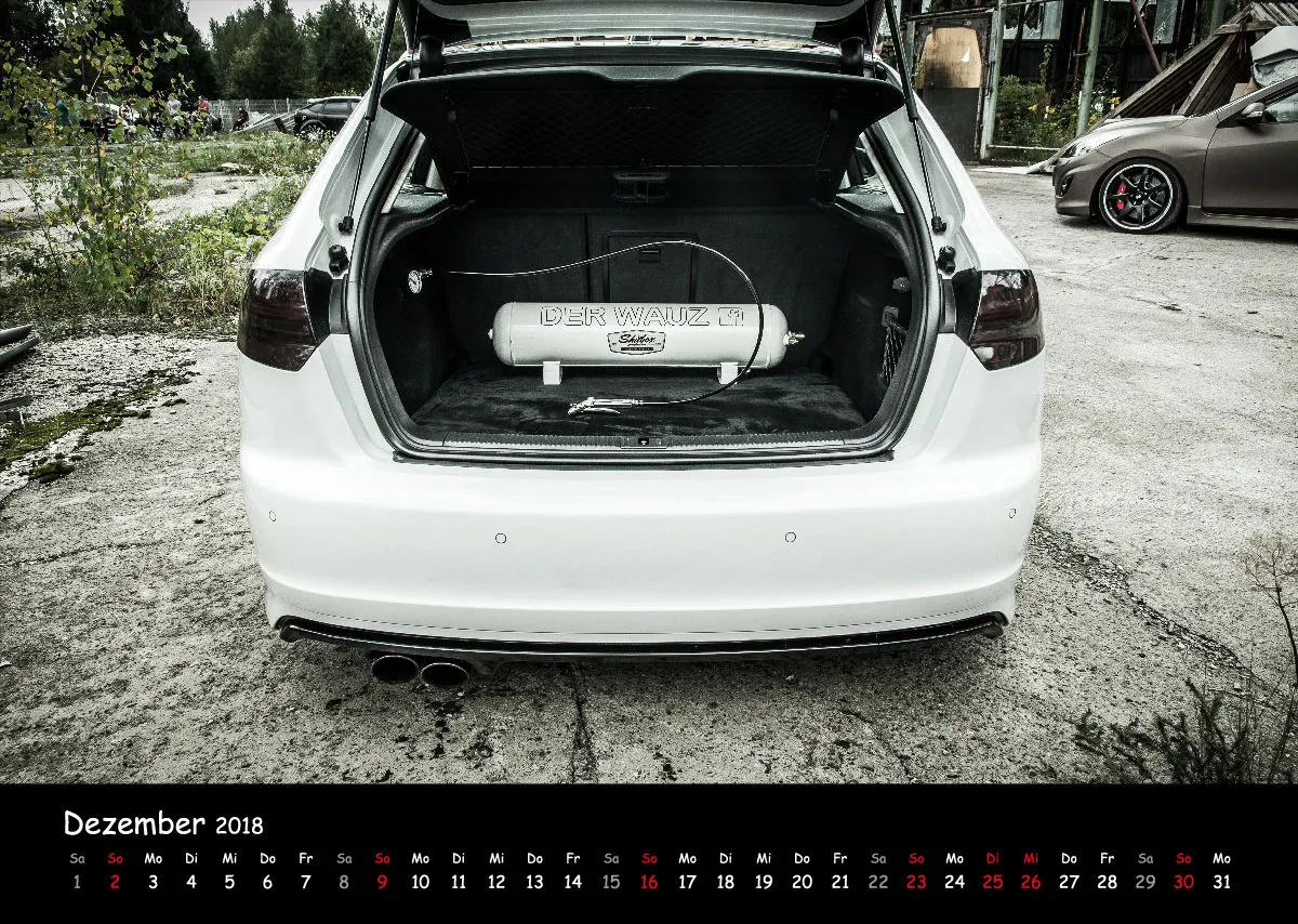 Audi S3 Der WAUZ